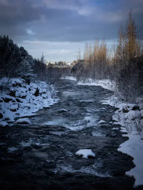 Photo of Ellidaa river and forest covered with snow in winter, Reykjavik, Iceland.