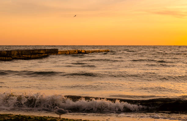 Sunrise at the sea. Seashore and water are coloured in orange. The sea is not calm. Waves are coming, spraying drops of water everywhere. The dawn colours are incredible.
