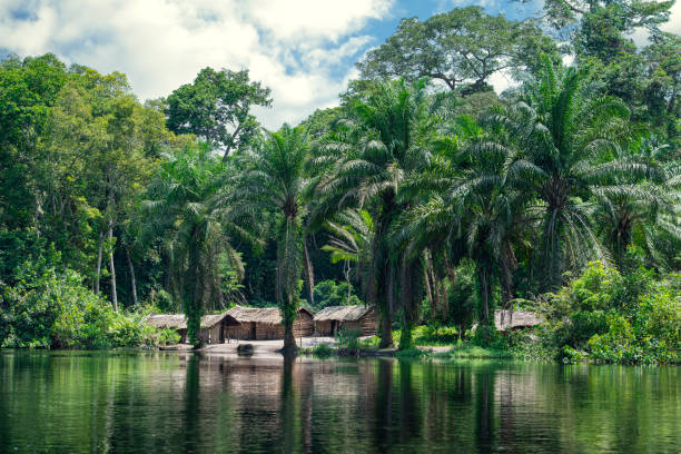A typical fishing village on the banks of a branch of the Congo River in the vast jungle of the Congo Basin.  Equateur province, Democratic Republic of Congo, Africa