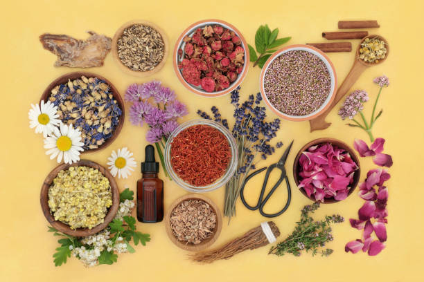 istock Herbs and Flowers for Aromatherapy Plant Based Treatments 1370779429