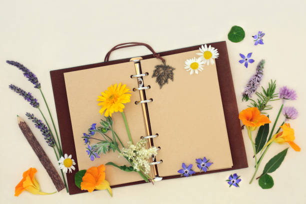 istock Healing Herbs and Flowers for Nature Study 1370780005