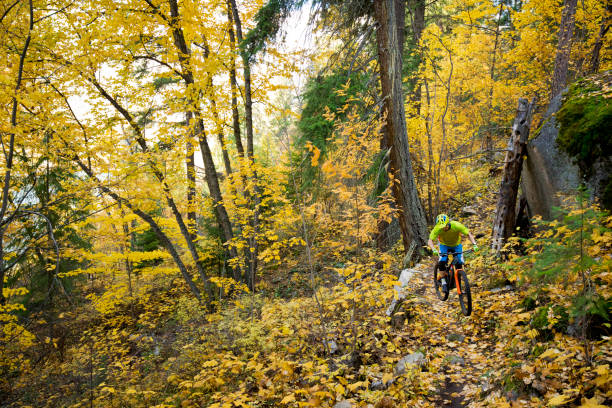 istock Enduro Mountain Bike Ride 1370781804