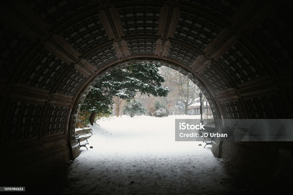 Tunnel Vision Tunnel At Prospect Park in winter Abstract Stock Photo