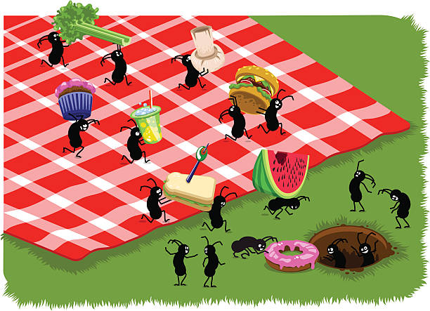 Picnic ants carrying food from picnic (vector) Some hungry picnic ants stealing away food, like hamburger, muffin, soda, toast, melon, donut, mushroom and celery, from a blanket on a meadow and carry it to their home to their happy fellows. edible ants stock illustrations