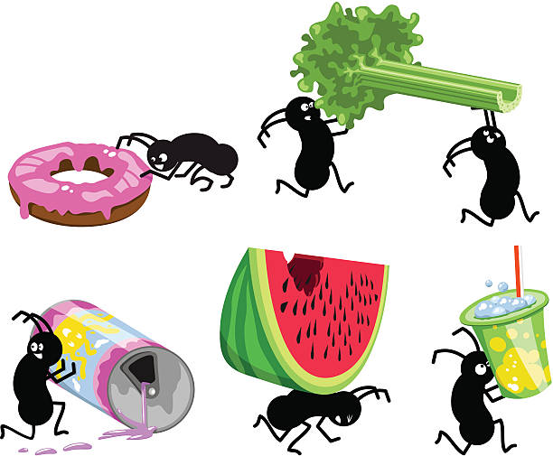 Picnic ants running away with picnic food (vector) A couple of hungry picnic ants stealing away celery, donut, melon, soda can and cup. edible ants stock illustrations