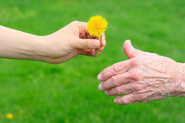 istock Young hand giving a dandelion to senior lady 137078708