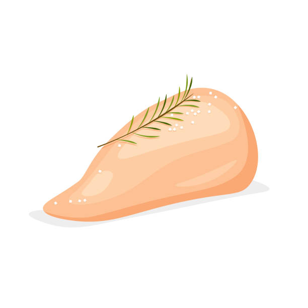 ilustrações de stock, clip art, desenhos animados e ícones de turkey or chicken breast fillet with salt and rosemary. - fillet