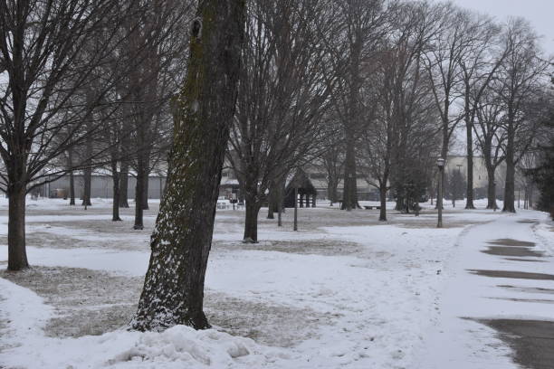 istock Beautiful snowy park at Illinois State University, Normal IL, USA 1370790177