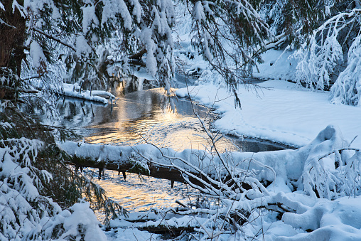 Winter sunset reflected on an Alaskan river with snow.