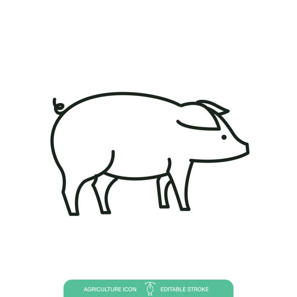 illustrazioni stock, clip art, cartoni animati e icone di tendenza di icona della linea di agricoltura suina semplice su uno sfondo trasparente - pig silhouette animal livestock