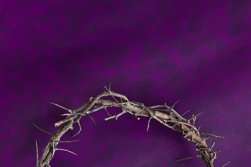 Crown Of Thorns Border On Purple Stock Photo - Download Image Now - Ash ...