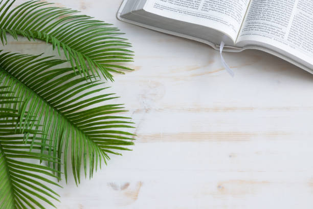 istock Open bible and palm fronds on white 1370793363