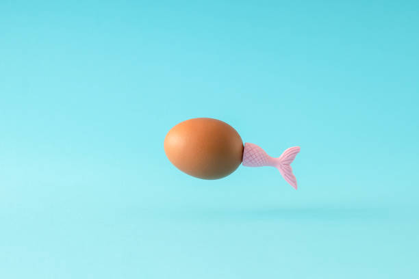 Easter egg with fish tail against bright blue background.  Swimming fish in water concept. Minimal easter composition.