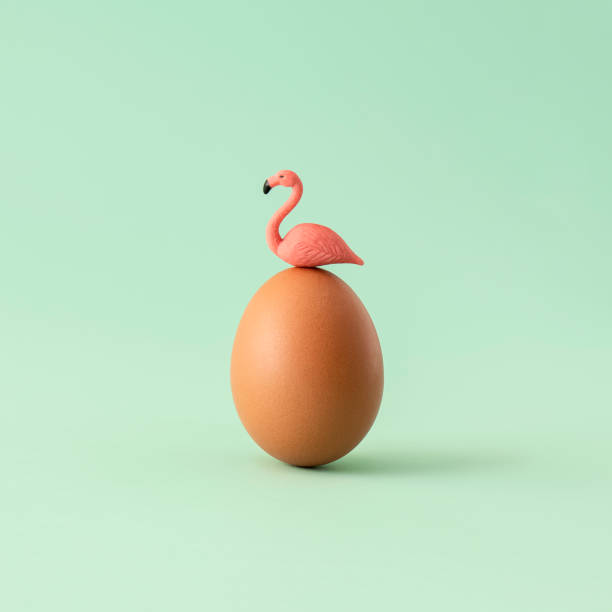 Natural Easter egg with flamingo on top against pastel green mint background. Minimal spring or summer  holiday concept.