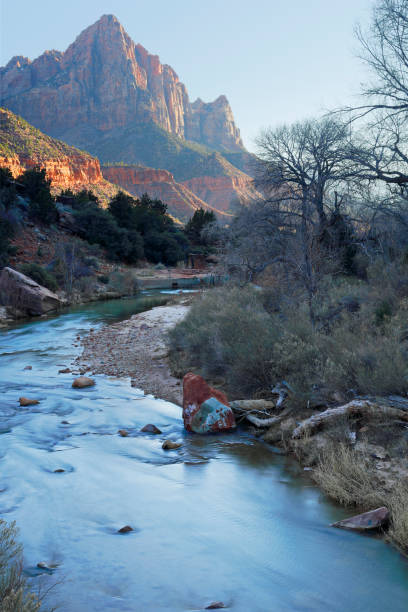 Landscape - Zion National Park - Utah Classic sunset view of the Watchman and the Virgin river (Zion National Park, Utah). virgin river stock pictures, royalty-free photos & images