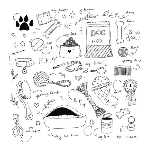 Vector illustration of Modern hand drawn vector illustration of dog accessories. Pet objects: leash, collar, charm, dog food, bowl, toys and floral elements. Graphic perfect for stickers, logo, advertising, blogs, instagram