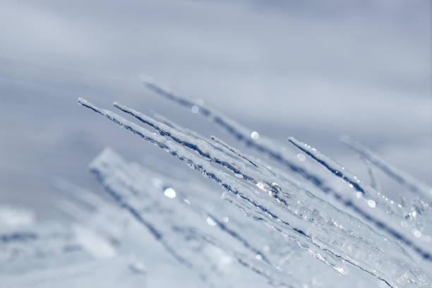 icicle spear close-up macro