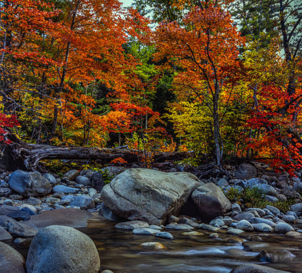 istock Autumn on the swift river 1370806703