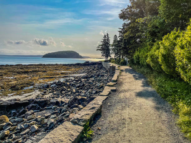 Bar Harbor Shore Path - Acadia National Park