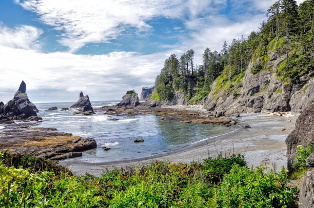 istock Cove at Shi Shi Beach 1370807586