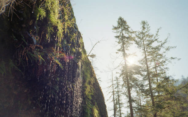 Waterfalls on ridge over Eagle Creek, Oregon stock photo