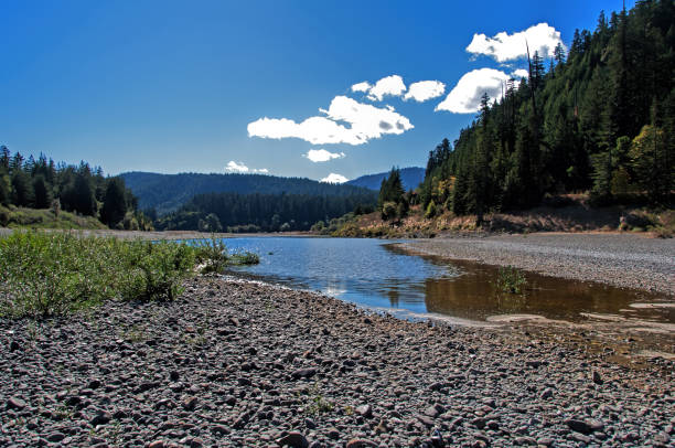 A beautiful day in the fall at Humbolt Redwood State Park, California. Looking down the Eel River.
