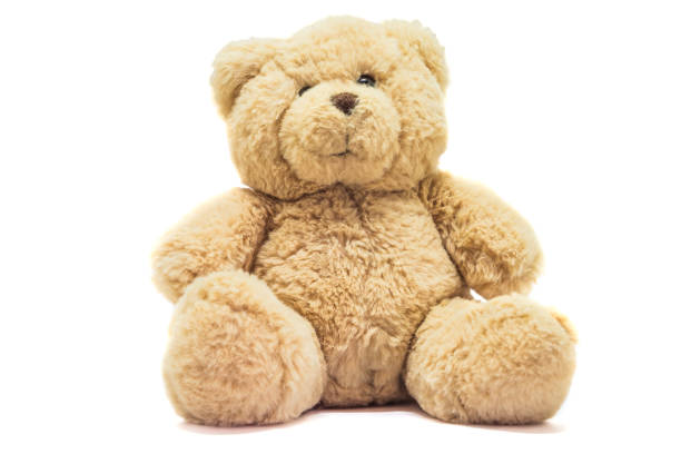 Teddy bear on white background Cute brown teddy bear on white background. Toy animal doll plush stuffed sitting in the studio. teddy bear stock pictures, royalty-free photos & images