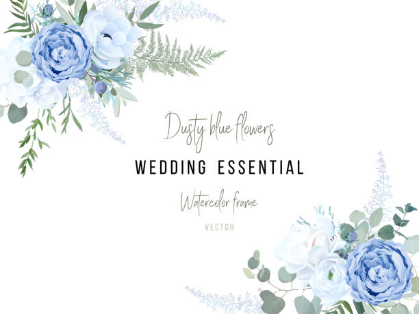 Dusty blue rose, white hydrangea, ranunculus, anemone, eucalyptus, greenery Dusty blue rose, white hydrangea, ranunculus, anemone, eucalyptus, greenery, juniper, brunia vector design frame. Wedding seasonal flower card. Floral watercolor composition. Isolated and editable blue roses stock illustrations