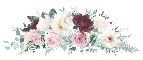 illustrazioni stock, clip art, cartoni animati e icone di tendenza di peonia rosso borgogna, magnolia bianca, rosa polverosa e ortensia, fiore astilbe - magnolia flower beige white