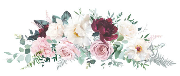 バーガンディレッド牡丹、白マグノリア、ほこりっぽいピンクのバラとアジサイ、アスチルベの花 - magnolia white pink blossom点のイラスト素材／クリップアート素材／マンガ素材／アイコン素材