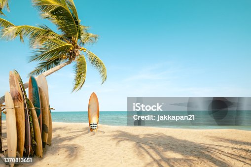 istock Surfboard and palm tree on beach in summer 1370813651