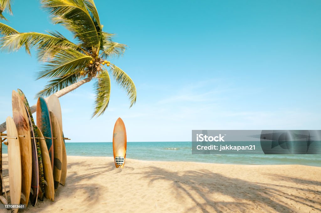 Surfboard and palm tree on beach in summer Surfboard and palm tree on beach with beach sign for surfing area. Travel adventure and water sport. relaxation and summer vacation concept. vintage color tone image. Beach Stock Photo