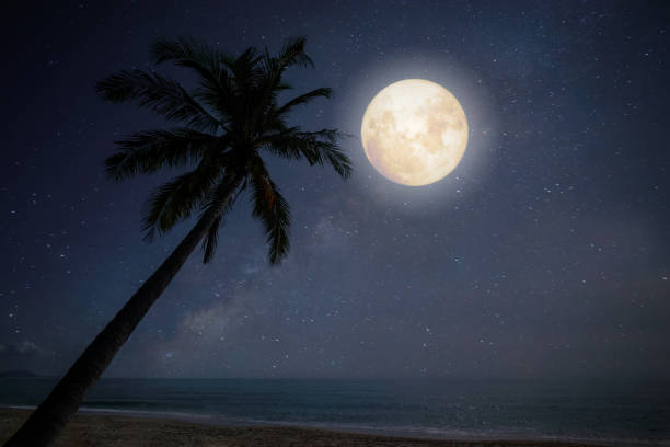 istock full moon with star during night at tropical beach 1370813693