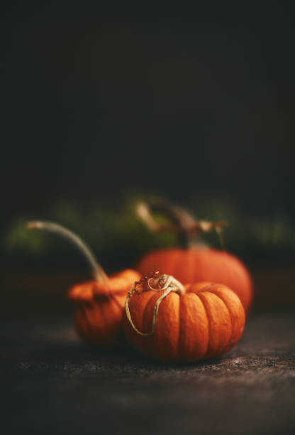 istock Still life image of orange pumpkins in dark setting for fall and Thanksgiving. Space for text 1370815475
