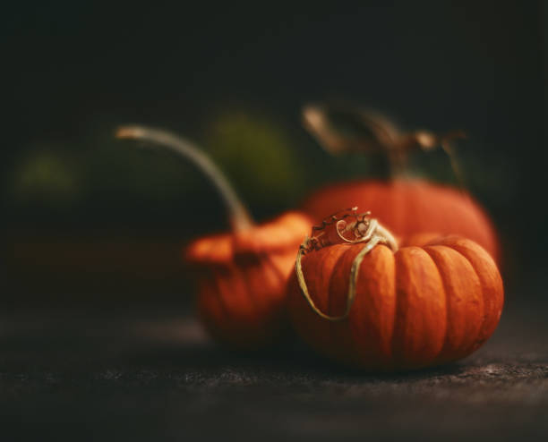 istock Still life image of orange pumpkins in dark setting for fall and Thanksgiving. Space for text 1370815490