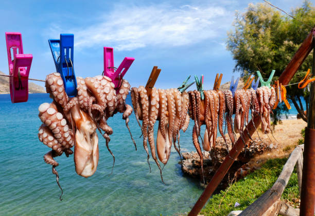 istock Squid hanging on a clothesline with blue sky and sea background 1370817613