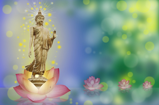 Buddha statue standing on a pink lotus flower in the river and the golden sky background.