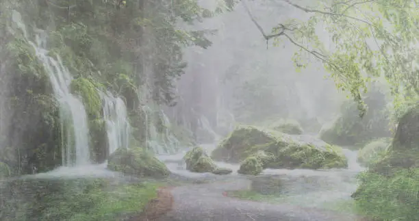 Flows and heavy rain flooded into tropical forests - beautiful landscape paintings in the forest during the rainy season