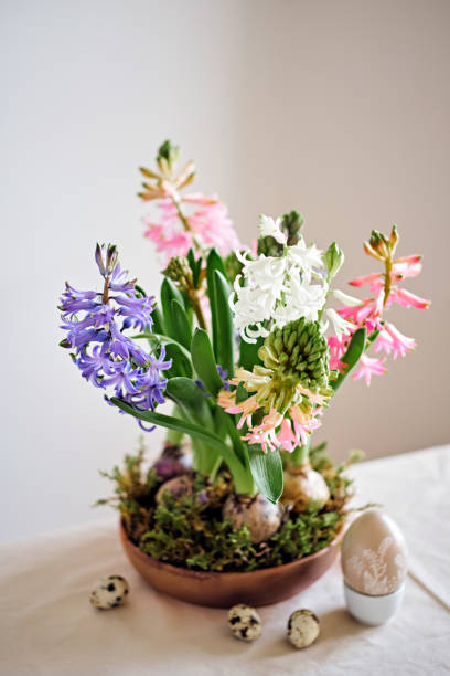istock Easter composition from hyacinths flowers and quail eggs on linen tablecloth. Zero Waste Easter 1370827035