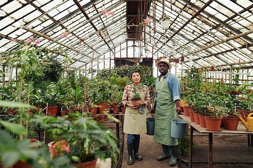 Two Greenhouse Workers Looking At Camera