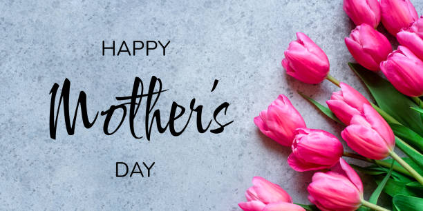 istock Fresh tulip flowers on a gray background. 1370831062