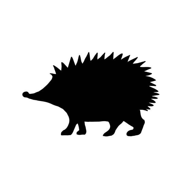 Silhouette of a hedgehog on a white background.Vector animals can be used in textiles, postcards.Icon of the animal snake emblem, side view profile. Silhouette of a hedgehog on a white background.Vector animals can be used in textiles, postcards.Icon of the animal snake emblem, side view profile. hedgehog stock illustrations