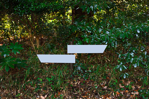 Old blank wooden two directional sign standing in forest.