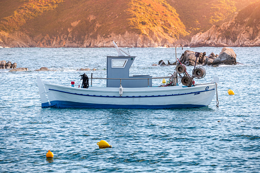 Professional small fishing motor boat in the bay in profile. Seafood farming business