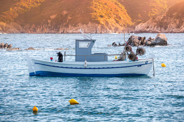 https://media.istockphoto.com/id/1370839806/photo/professional-small-fishing-motor-boat-in-the-bay-in-profile-seafood-farming-business.jpg?s=612x612&w=0&k=20&c=flH62rhaOR4WxHOWbp9dI-usz0AoTEzzOXB6MvXQ2mU=