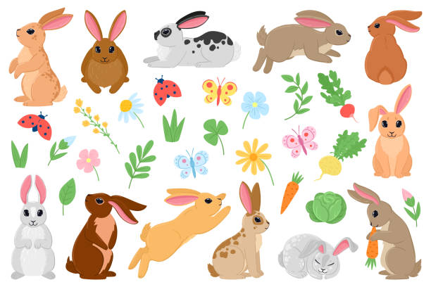 cartoon frühlingshase, süße osterhasen mit karotten und blumen. frühlingshasen haustiere, weiße und braune kaninchen charaktere vektor illustration set. osterfeiertag hase - food cartoon vegetable running stock-grafiken, -clipart, -cartoons und -symbole