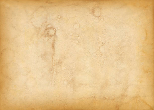 istock Old grunge paper sheet. Parchment texture background 1370843626