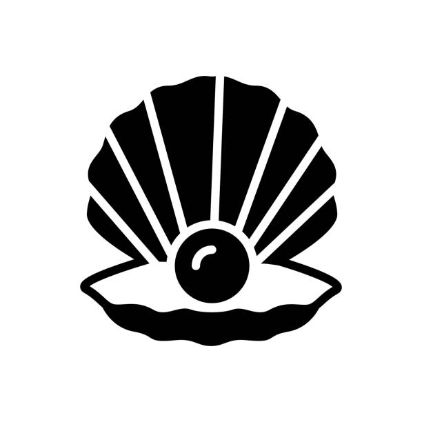 illustrations, cliparts, dessins animés et icônes de shell pearl - clam