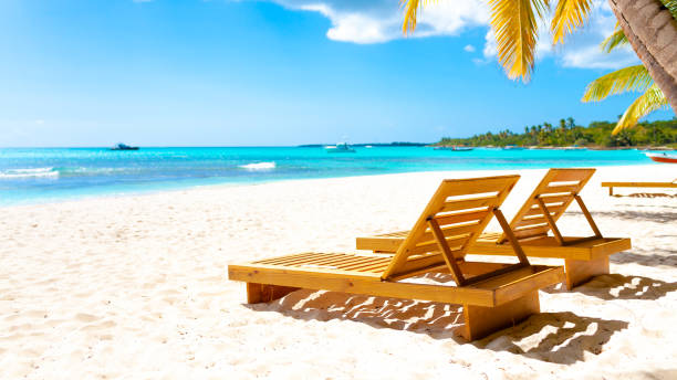istock Tropical white sand beach with palms and sea 1370847454