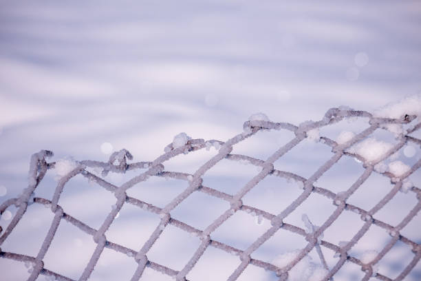 istock Steel fence covered in snow during winter 1370848820